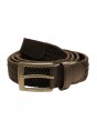 BELT-1