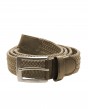 BELT-1